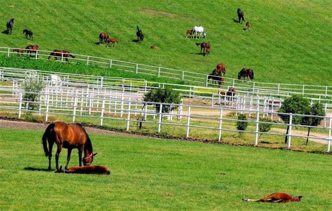 Karacabey Harası — Karacabey