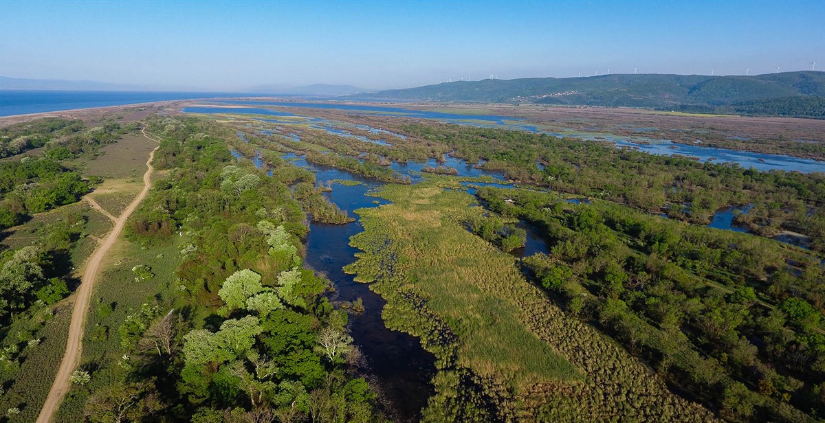 Karacabey Longoz Ormanları — Karacabey